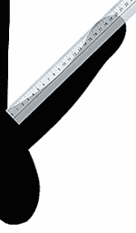 Penisul normal vs penisul anormal - dimensiuni, caracteristici, limite